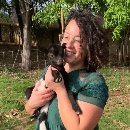 Pansiyon Casa Da Avo - Vale Da Silva *