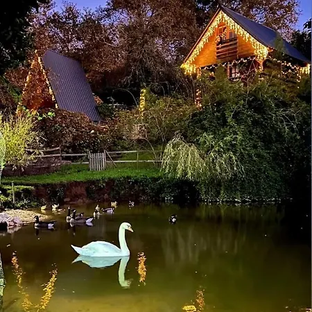 Casa Da Avo - Vale Da Silva Албергария-а-Велья