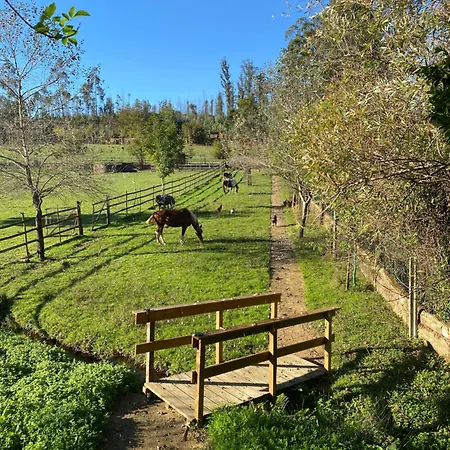 Casa Da Avo - Vale Da Silva Pansiyon