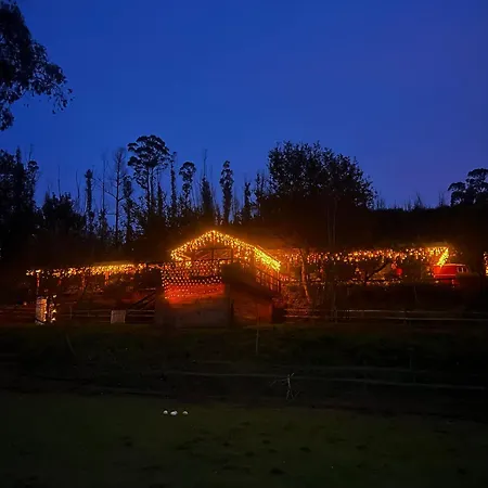 Casa Da Avo - Vale Da Silva * Albergaria-a-Velha