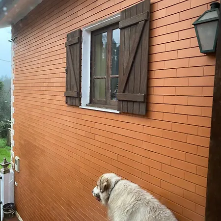 Pansiyon Casa Da Avo - Vale Da Silva