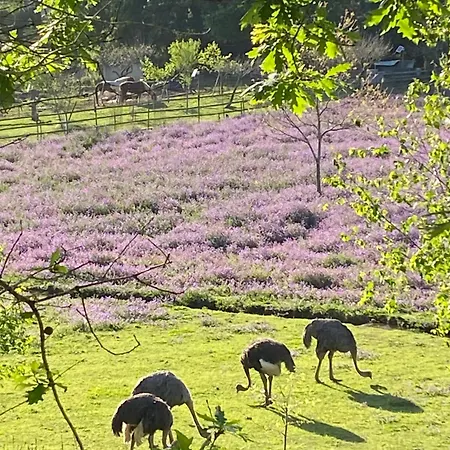 Casa Da Avo - Vale Da Silva Pansiyon Albergaria-a-Velha