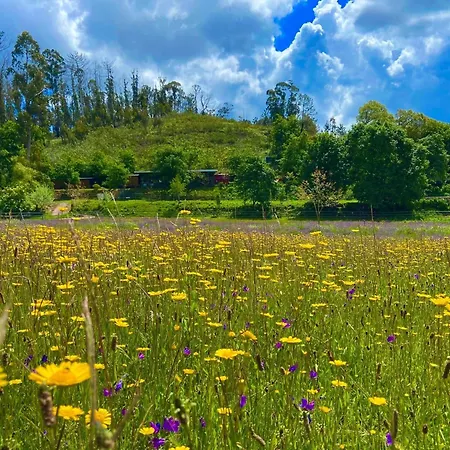 Casa Da Avo - Vale Da Silva Homestay