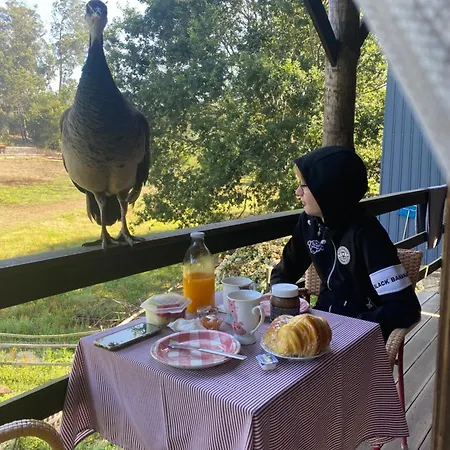 Casa Da Avo - Vale Da Silva *