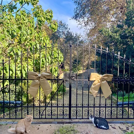 Casa Da Avo - Vale Da Silva *