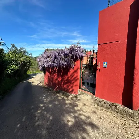 Casa Da Avo - Vale Da Silva * Albergaria-a-Velha