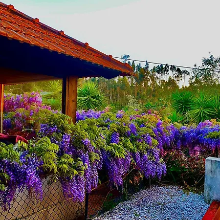 Casa Da Avó - Vale Da Silva *