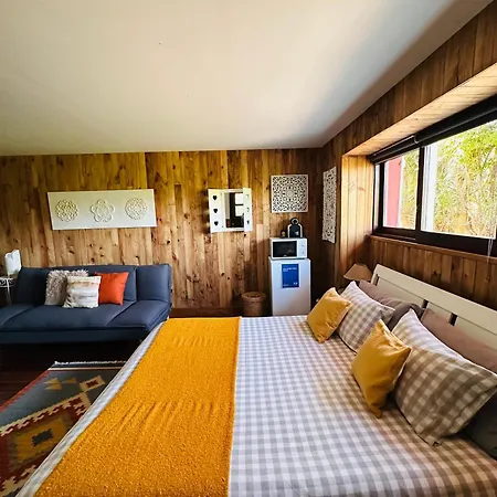 Homestay Casa Da Avo - Vale Da Silva Albergaria-a-Velha