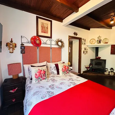 Casa Da Avo - Vale Da Silva Albergaria-a-Velha