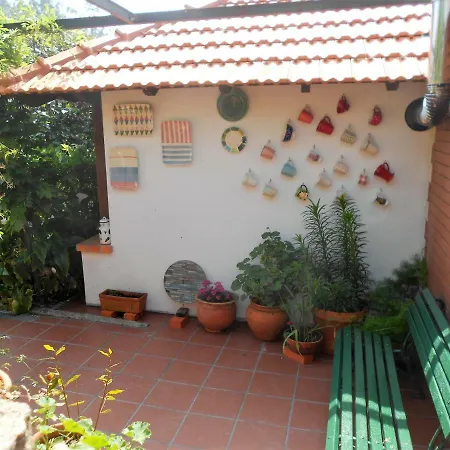 Casa Da Avó - Vale Da Silva * Albergaria-a-Velha