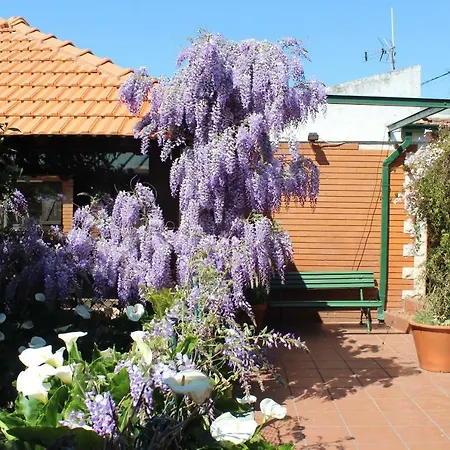 Casa Da Avo - Vale Da Silva Homestay