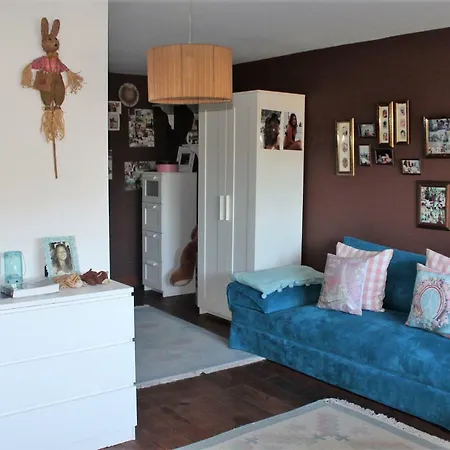 Casa Da Avo - Vale Da Silva Pansiyon Albergaria-a-Velha