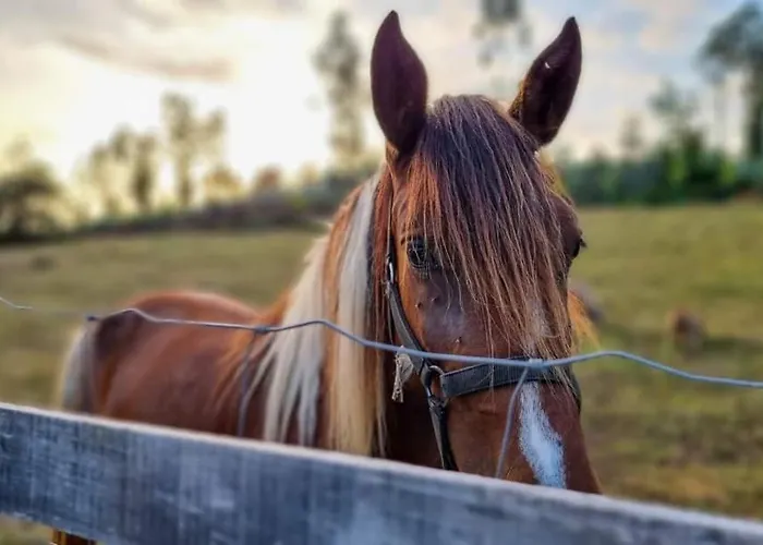 Casa Da Avo - Vale Da Silva *
