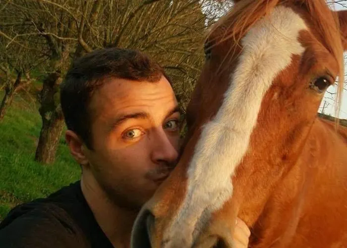 Casa Da Avo - Vale Da Silva Homestay