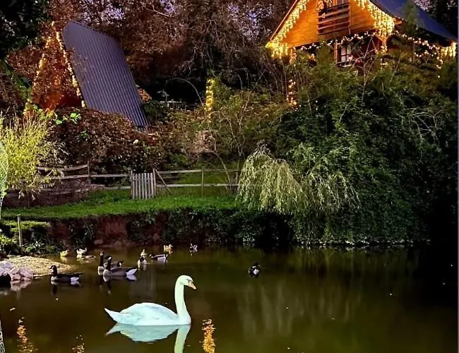 Casa Da Avo - Vale Da Silva Albergaria-a-Velha