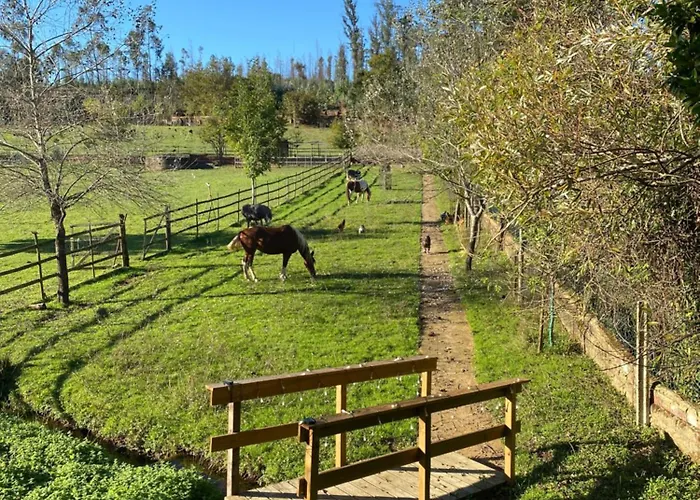 Casa Da Avo - Vale Da Silva Homestay