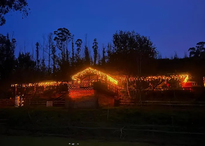 Casa Da Avo - Vale Da Silva * Albergaria-a-Velha