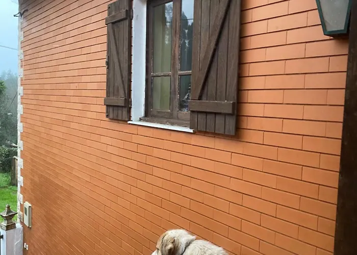 Accommodatie bij particulieren Casa Da Avo - Vale Da Silva