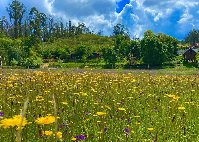 Casa Da Avo - Vale Da Silva Accommodatie bij particulieren