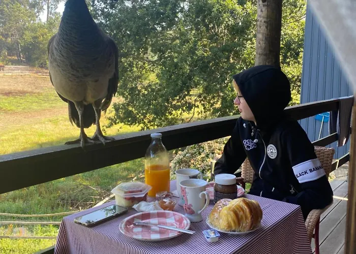 Casa Da Avo - Vale Da Silva *