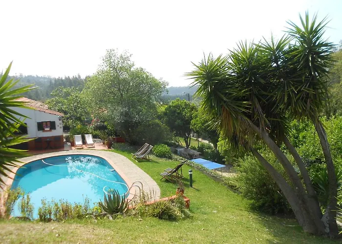 Casa Da Avo - Vale Da Silva Albergaria-a-Velha