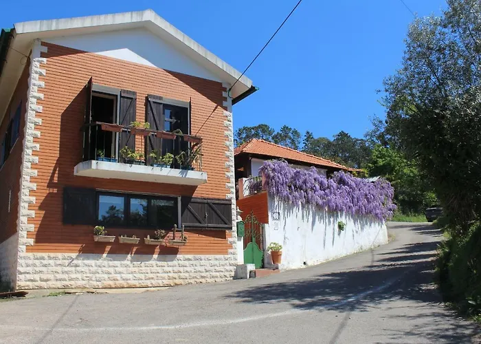 Casa Da Avo - Vale Da Silva Accommodatie bij particulieren Albergaria-a-Velha