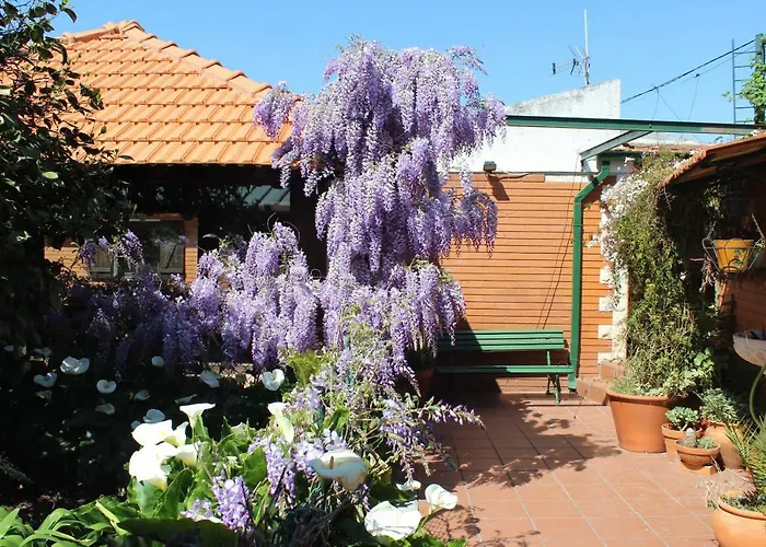 Casa Da Avo - Vale Da Silva Accommodatie bij particulieren